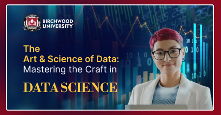 The Art and Science of Data_ Mastering the Craft in Data Science