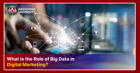 Role of Big Data